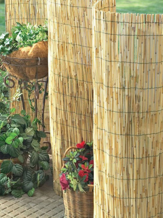 Showood Bamboo Fencing with Whole Reed 1.5x3m