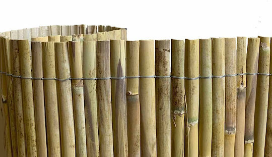 Dom Wood Bambuszaun mit Halbes Schilf 1x5m 31259 Dom Wood Bambuszaun mit Halbes Schilf 1x5m 31259