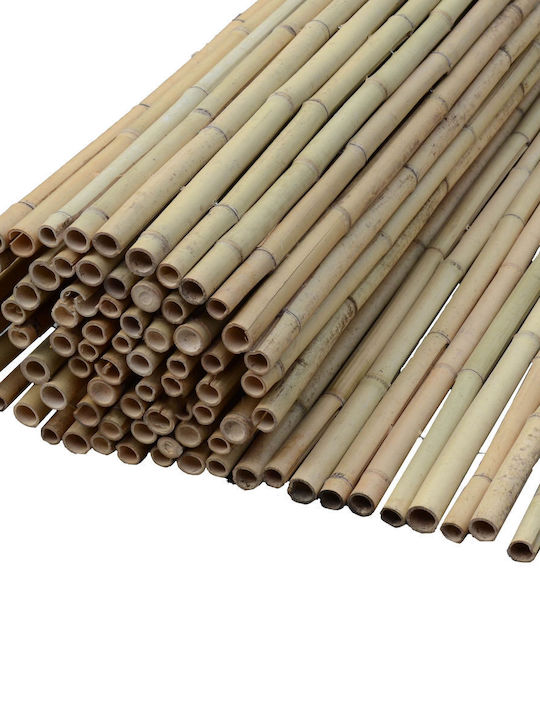 Showood Bamboo Fencing Bamboo with Whole Wood 1x3m