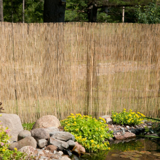 Showood Bamboo Fencing with Whole Reed 1x3m