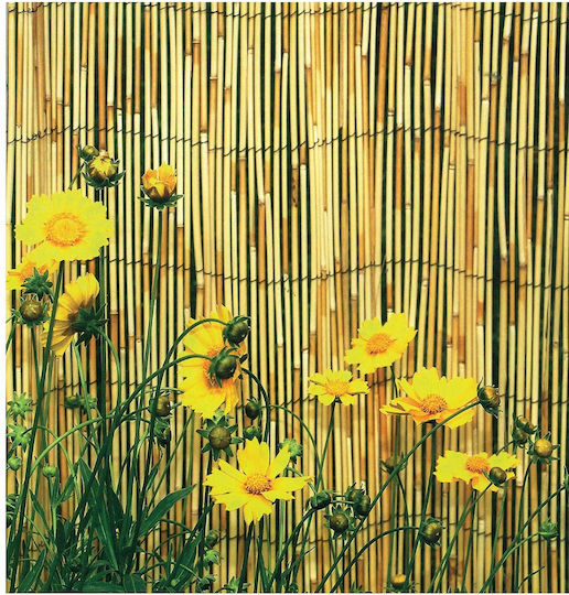Sidirela Bamboo Fencing with Whole Reed 1.5x5m