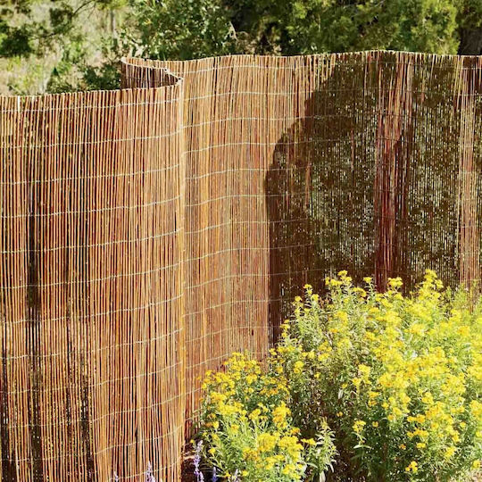 Showood Καλαμωτή από Λυγαριά με Ολόκληρο Ξύλο 2x5m