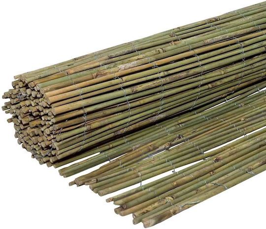 Showood Καλαμωτή με Ολόκληρο Καλάμι Μπαμπού 2x3m