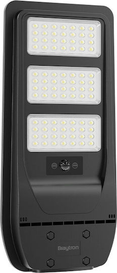 Braytron Ηλιακό Φωτιστικό Δρόμου 50W με Ψυχρό Λευκό Φως 6500K IP65