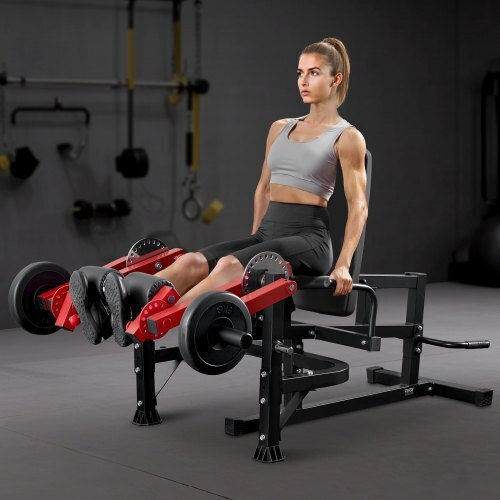 Vevor Multi-Gym without Weights