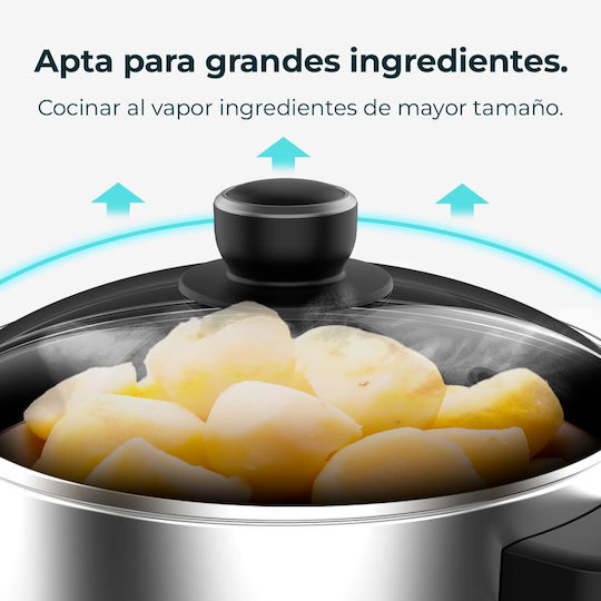 Cecotec Vapovita Steelpot Ατμομάγειρας με 3 Επίπεδα Μαγειρέματος 10lt
