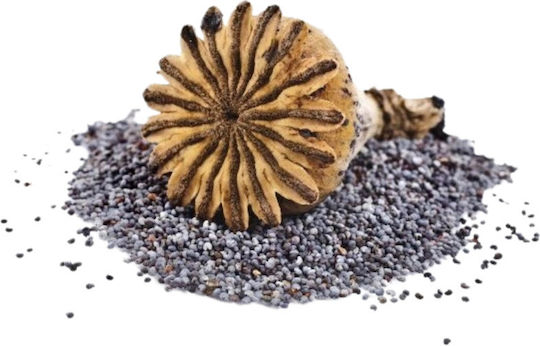 Davert Bio Blaumohn 250g 17625