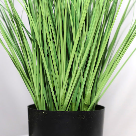 Onion Grass Tree Np1011_120 Height 120cm Newplan Newplan