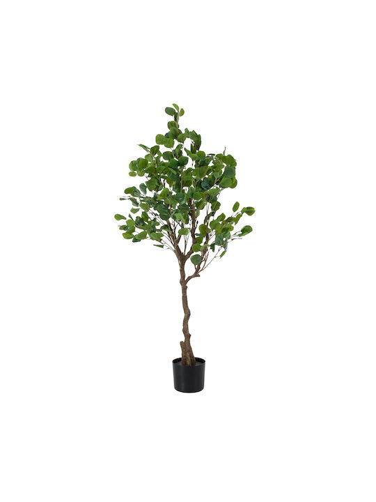 Eucalyptus in Potted Plant 120cm GloboStar