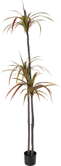 Arbore Artificial de Exterior Dracaena Green 220cm GloboStar