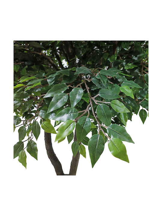 Ficus Baum im Freien 350cm GloboStar