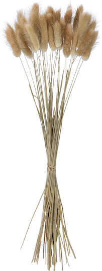 Plantă Uscată Beige 50cm GloboStar