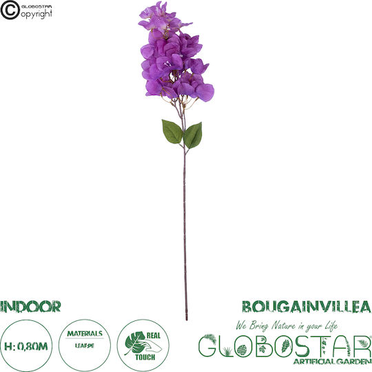 Βουκαμβίλια Μωβ 80cm σε Κουτί GloboStar