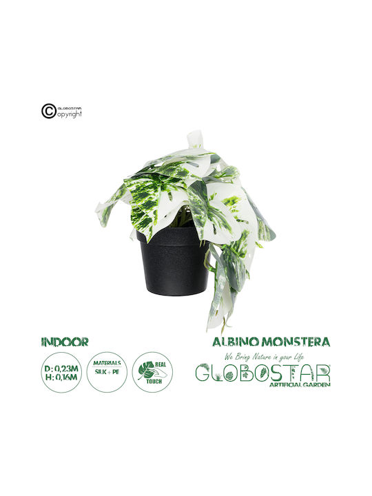 Globostar Artificial Garden Albino Monstera Plant 20946 Decorative Monstera Plant Φ23 X H16cm