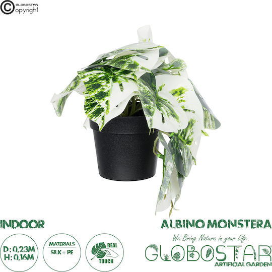 Globostar Künstliche Garten Albino Monstera Pflanze 20946 Dekorative Monstera Pflanze Φ23 X H16cm