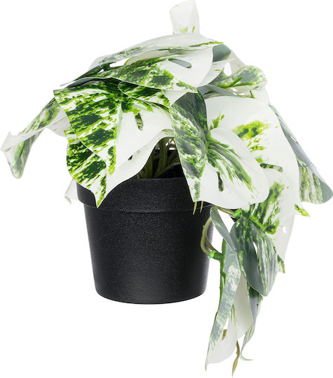 Globostar Künstliche Garten Albino Monstera Pflanze 20946 Dekorative Monstera Pflanze Φ23 X H16cm