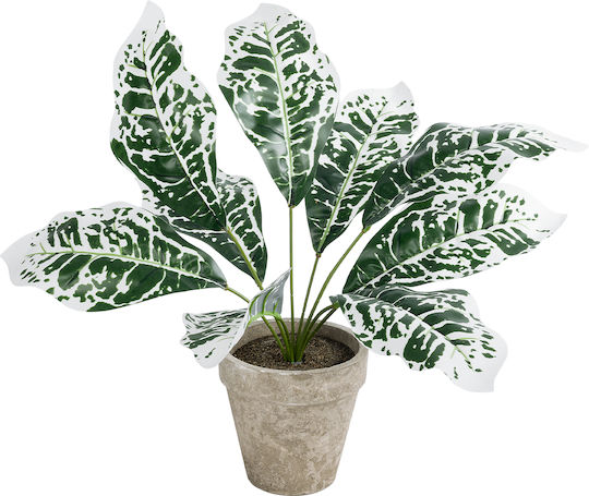 Globostar Künstliche Garten Weiße Aglaonema Topfpflanze 20903 Dekorative Pflanze Weiße Aglaonema Φ40 X H33cm