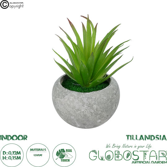 Изкуствено растение в саксийка Тиландсия Green 15см GloboStar