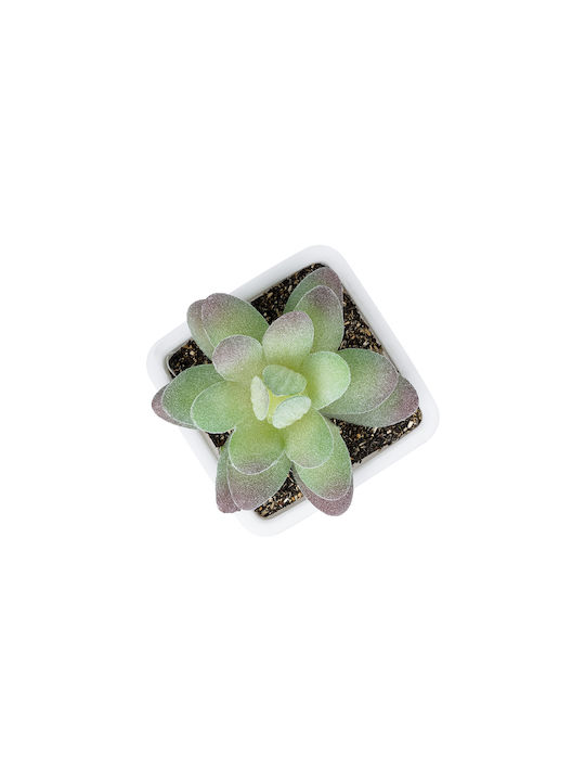 Globostar Artificial Garden Succulent Sedeveria Potted Plant 20975 Decorative Plant Phoenix Serenoa H7 X H8cm