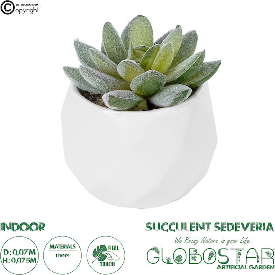 Globostar Artificial Garden Succulent Sedeveria Potted Plant 20987 Decorative Plant Sedeveria Φ7 X H7.5cm