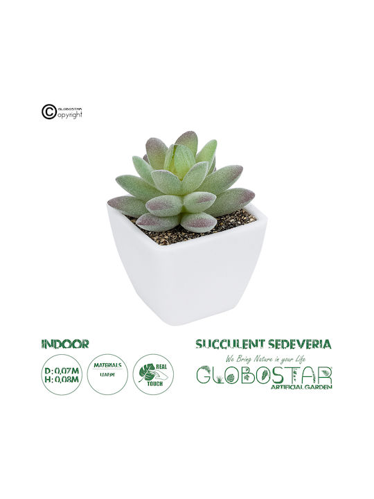 Globostar Artificial Garden Succulent Sedeveria Potted Plant 20975 Decorative Plant Phoenix Serenoa H7 X H8cm