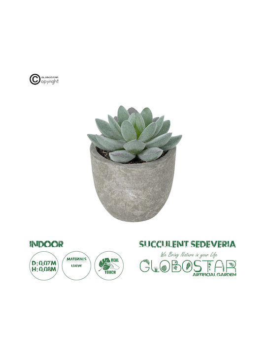 Globostar Artificial Garden Succulent Sedeveria Potted Plant 21016 Decorative Plant Sedeveria Φ7 X H8cm