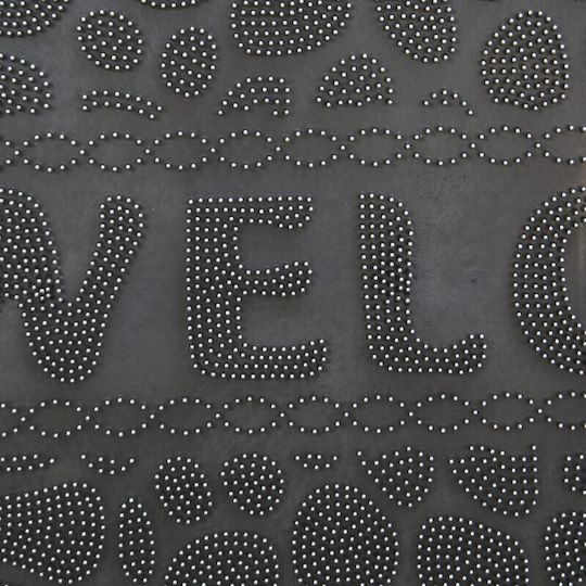 Viosarp Covoare De Intrare Antiderapant Negru 45x75cm