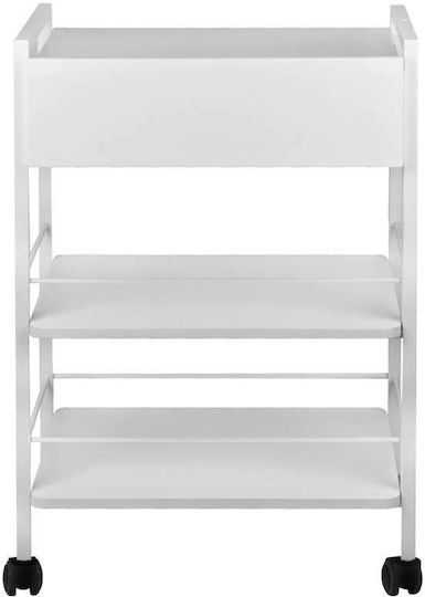 Giovanni Hair Salon Maintenance Cart