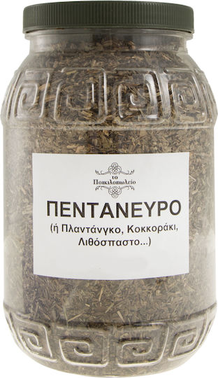 Πεντάνευρο 100 Γρ
