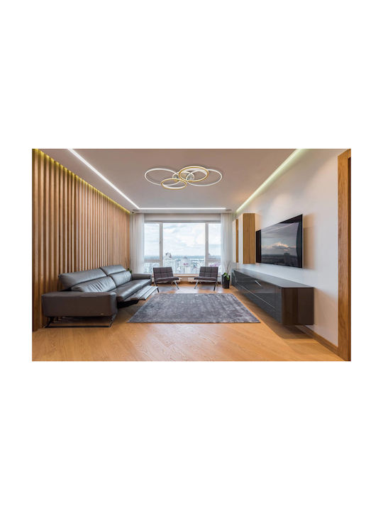 Globo Lighting Ceiling Mount Light Silver