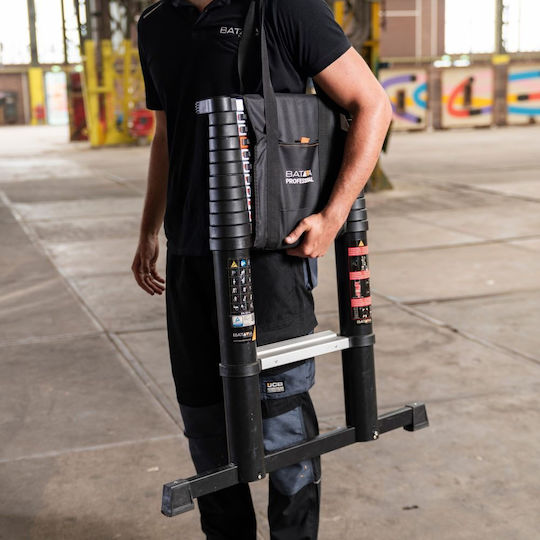 Batavia Telescopic Ladder Aluminum 12 of Steps with Maximum Height 3.81m