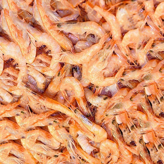 Stoffels Krill Superba 100g