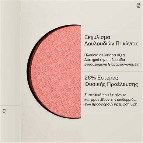 Korres Ρουζ Natural Fresh 01 Pink Peony 4.5gr