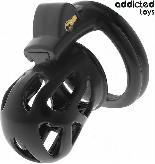 Addicted Toys Penis Cage in Black Color