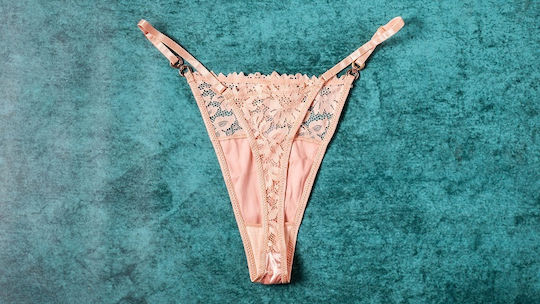 Ophelia's Dream Sexy Lingerie Sets Satin Lace Set Salmon