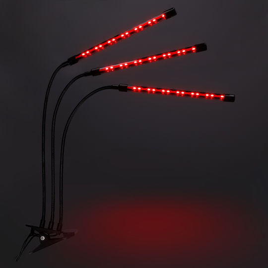 Jumi Wachstumslicht mit LED und Leistung 24W