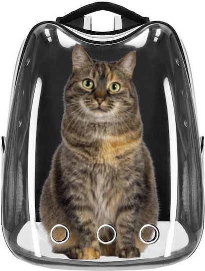Small-medium Pet Carrier Backpack Up To 12 Kg Transparent Panoramic Window Side Pockets Black