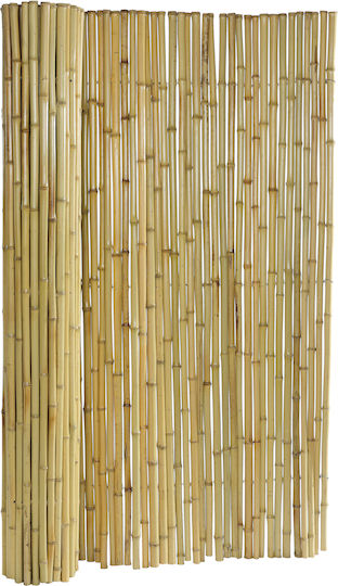 Jardi Καλαμωτή με Ολόκληρο Καλάμι Μπαμπού 2x2.5m 14700996