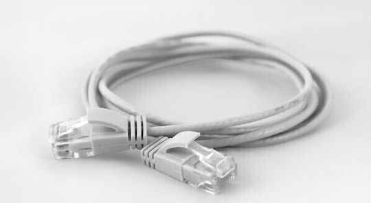 Wantec U/UTP Kat.6a Ethernet-Netzwerkkabel 0.5m Weiß 1Stück