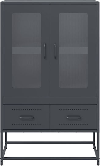 Bodenstehende Wohnzimmer Vitrine aus Metall in Anthrazit mit Glas 68x39x111,5 cm