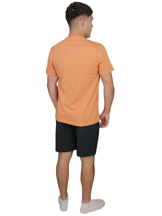 Vamp Orange