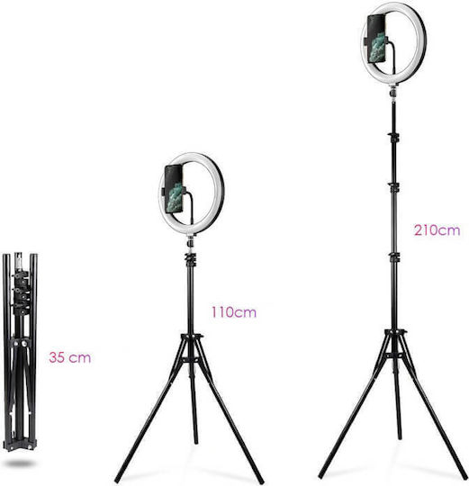 Apexel Ring Light 26cm με Τρίποδο Δαπέδου