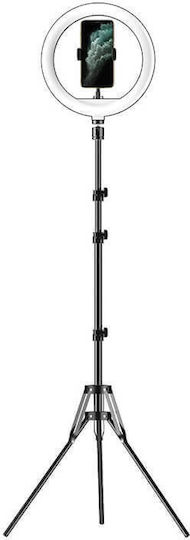 Apexel Ring Light 26cm με Τρίποδο Δαπέδου