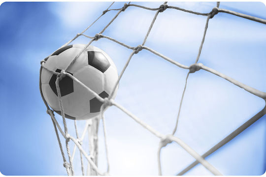 NEO Sport Soccer Net 215x150x90cm