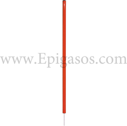 Εκπαίδευση Γυμναστική Σκύλου Slalom Agility Ύψος 100εκ