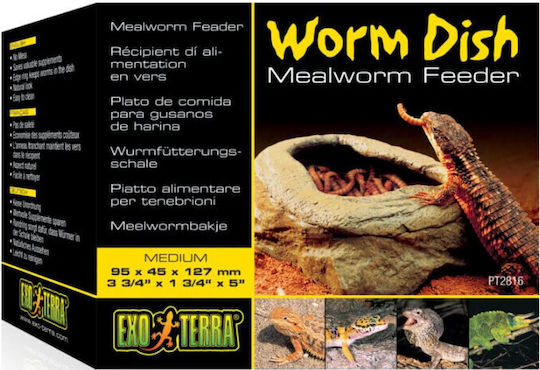 Hagen Feeder/Waterer for Reptiles Terrarium