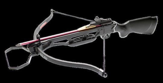 Crossbow Bow