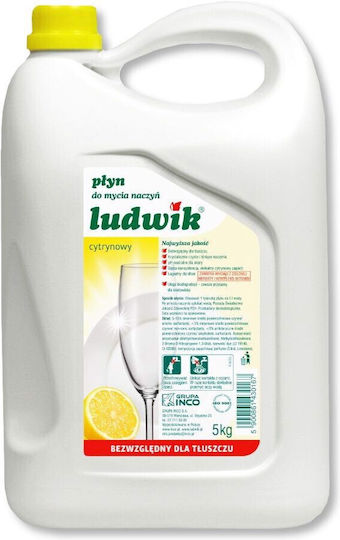 Ludwik Λεμόνι Επαγγελματικό 5lt