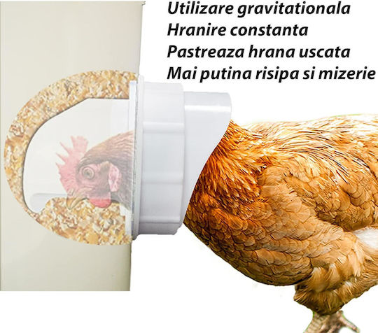 Vogelfütterung in Beige Farbe