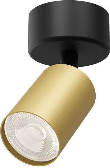 Braytron Spot in Gold Farbe
